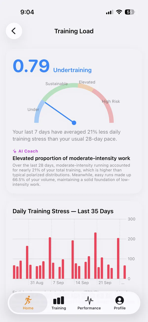 Run Signal screenshot: training load